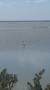 20170126_121259
