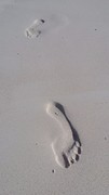 20170121_094009
