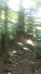 20170131_105723
