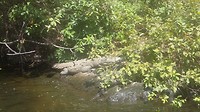 20170203_123810