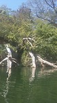 20170203_105438