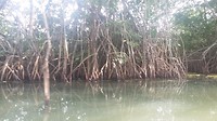 20170313_154015
