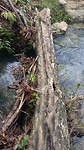 20170316_131157