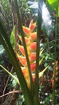 20170316_102038