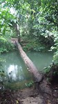 20170316_094705