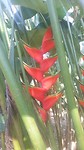 20170324_151753