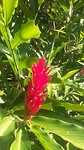 20170324_150036