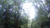 Tarzan swing