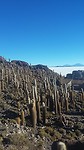 20170619_163021