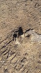 20170703_153314