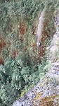 20170708_110630