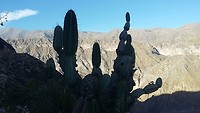 20170713_075402