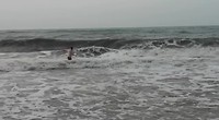 De golven