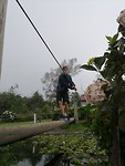 IMG_20190616_153714