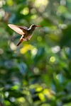 Ecuador - 2019-08-14_07-38-37