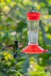 Ecuador - 2019-08-14_07-39-26