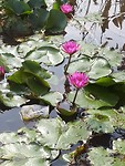 20190703_094420