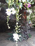 20190703_085514
