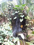 20190703_083456