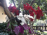 20190703_064536