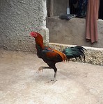 20190706_052324