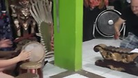 Muziekbeleving: familieconcertje