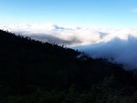20190718_062429