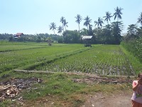 20190721_111401