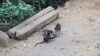20190723_141052