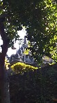 20190723_094308