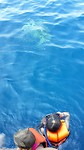 IMG-20190801-WA0002