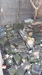 20190803_103142