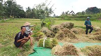 20190806_121436