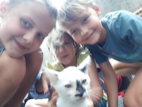 20190808_143333