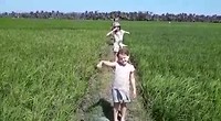 Wandeling door de rijstvelden
