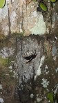 20190725_182812