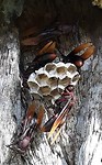 IMG-20190814-WA0005