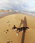 IMG_20210803_095925_104
