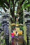 5C1EAFA9-437F-4EB3-8313-7B041CD12FEB_1_201_a