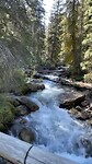 Bow creek