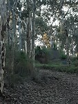 20200626_162936