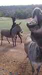 IMG-20200629-WA0000