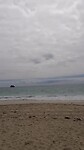 Hamelin bay