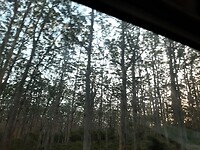 20210204_190158