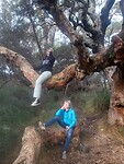 IMG-20220925-WA0022