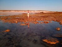 IMG-20221130-WA0002
