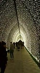 Lightshow tunnel.