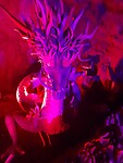 20230828_180927