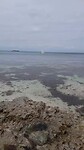 Paradise haha