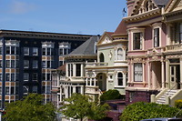 The Painted ladies